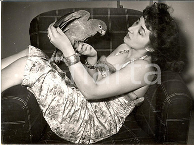 1955 roma attrice gianna - 1955,