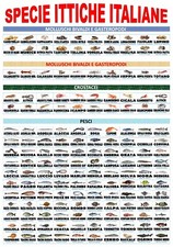 POSTER PESCHERIA "SPECIE