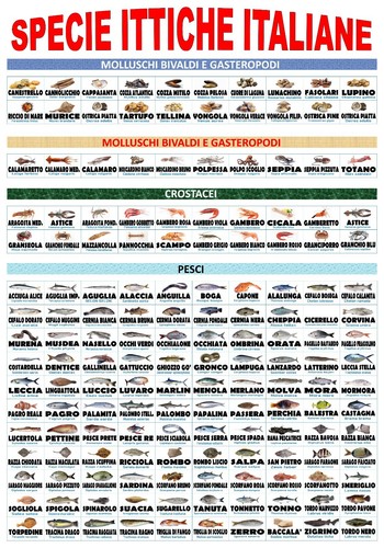 Poster pescheria specie - pescheria, "specie