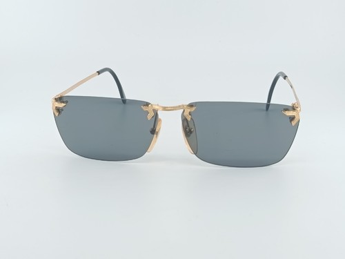 Police sunglasses hand - hand, made