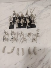 Warhammer Fantasy Regiment