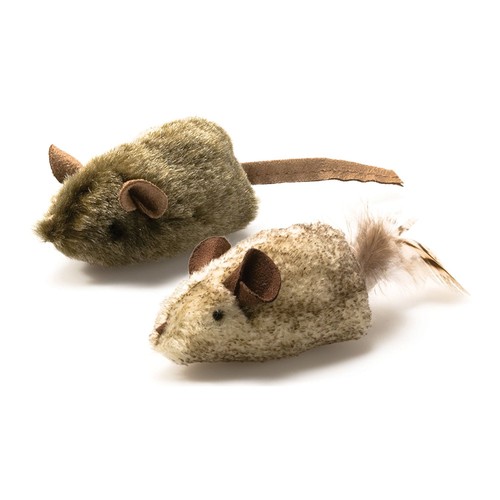 Ourpets play squeak twice - n,