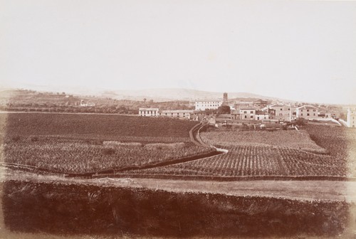 Veduta grottaferrata - veduta,