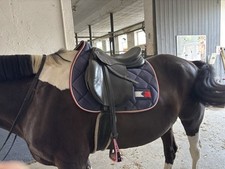 Sella a molla Prestige Elastic Professional 17 pollici