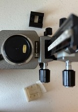 Boccola a coda di rondine per