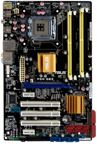 Scheda madre asus - madre,