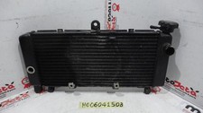Honda Hornet 600 99 02 Water