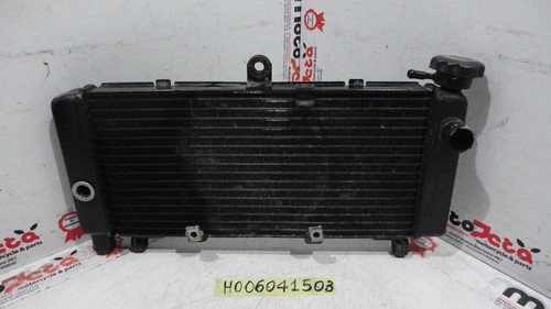 Honda hornet 600 water - 600, 02