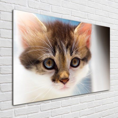 Tulup acrylic glass print - glass,