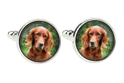 Setter inglese spilla per