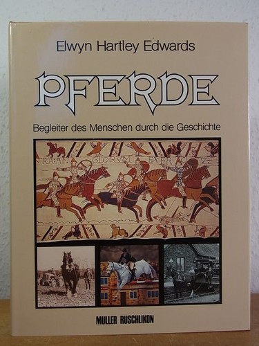 Pferde begleiter des - des, menschen