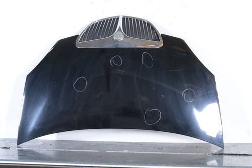 Cofano anteriore 51732277 - anteriore,