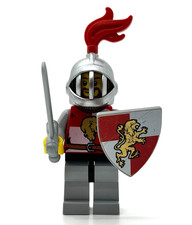 Lion Knight sword & shield