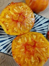 POMODORO DA CARNE italiano