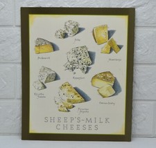 FORMAGGI LATTE DI PECORA