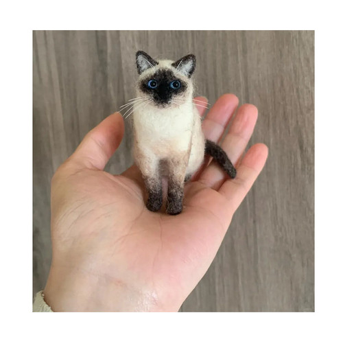 Collana siamese gatto - siamese, animale
