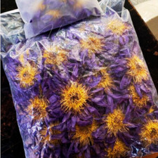 INGROSSO 1 kg Nymphaea