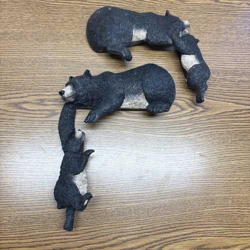 Orso angolo abbracciatori - orso,