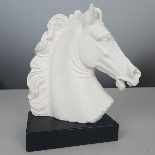 Scultura busto cavallo - busto,