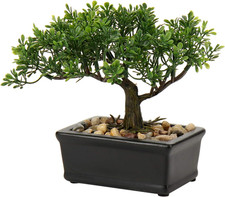 Bonsai, Piante Finte in Vaso