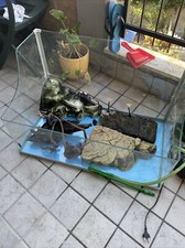 Tartarughiera completa di filtro per acquari esterno e zone emerse con legni.