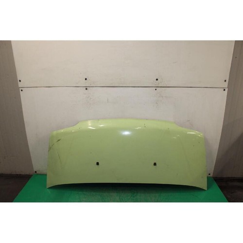 Cofano ant fiat ducato - fiat,