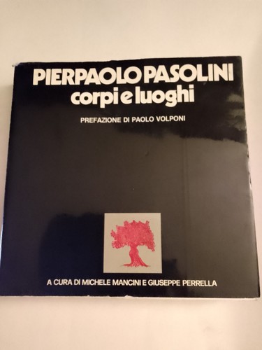Pier paolo pasolini - pier,