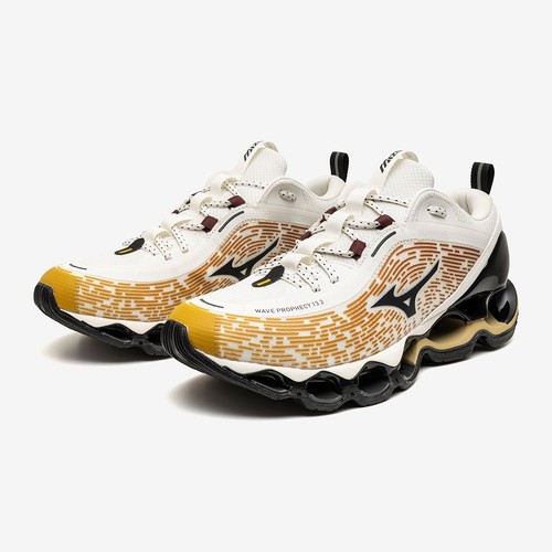 Mizuno wave prophecy 2 - mizuno,