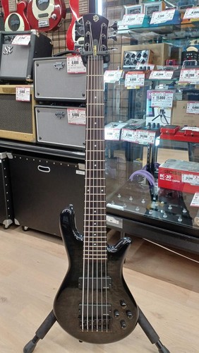 Spector legend6 classic - legend6, basso