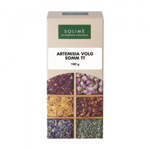 Solimè artemisia volgare - solimè,