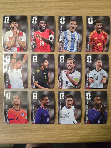 Panini sticker world cup - world,