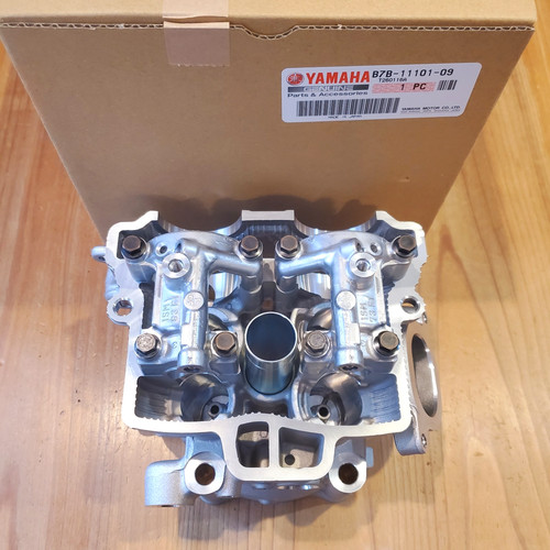 Assy testa cilindro originale