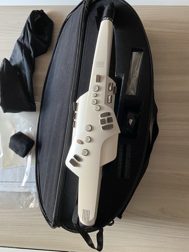 Roland aerophone 10 - roland,