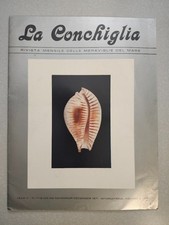 Mediterranean Conchology