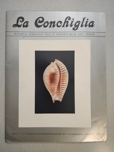 Mediterranean conchology - mediterranean,