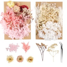 Fiori Secchi Naturali 2pz