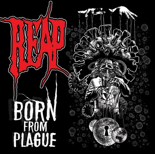 Reap born from - born, cd