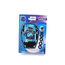 Lower Gearcase Gasket Kit