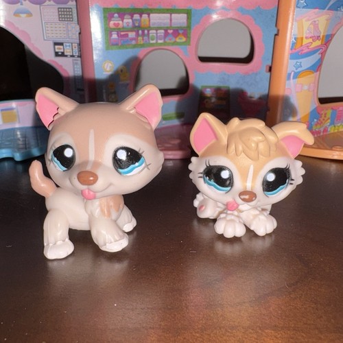 Lps littlest pet shop husky - lps,