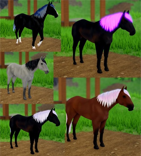 Wild horse islands 10x - islands,