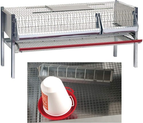 Gabbia per quaglie ovaiole - per,