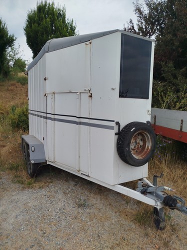 Trailer cavalli due posti