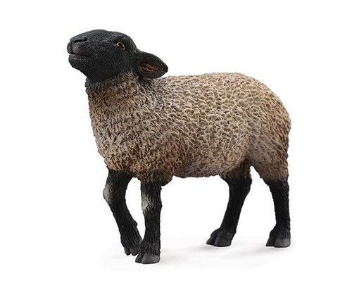 Figurina giocattolo modello