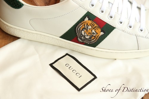 Scarpe ginnastica gucci ace - ginnastica,