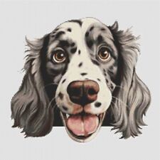 Setter inglese cucciolo cane