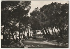 VARAZZE - SAVONA - PINETA PIANI D'INVREA - VIAGG. 1952 -79644-