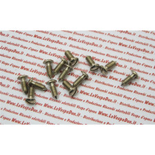 Vite nichelata per fissaggio