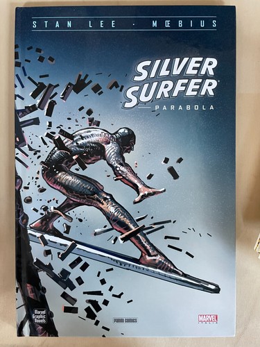 Silver surfer parabola di - surfer:,
