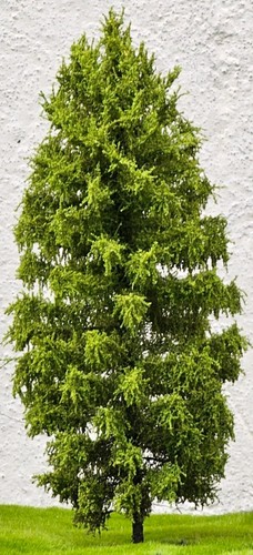 Albero modello h0 larice - ,