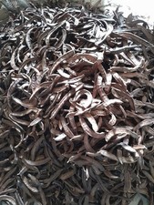 5 KG CARRUBE DI SICILIA 